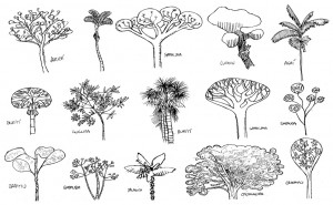 Trees, Amazon Sketchbook
